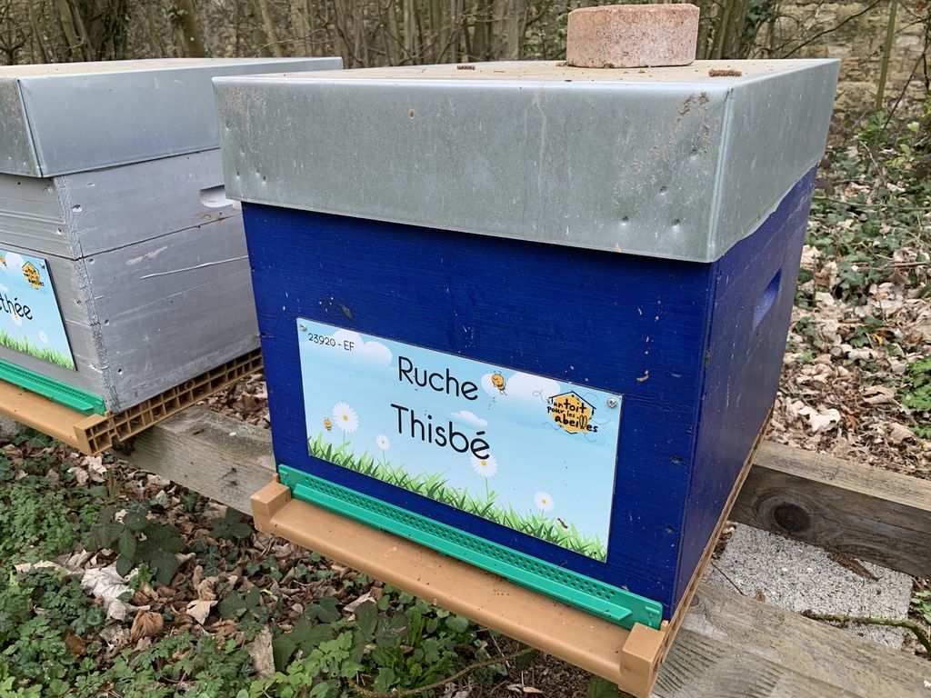 La ruche Thisbé