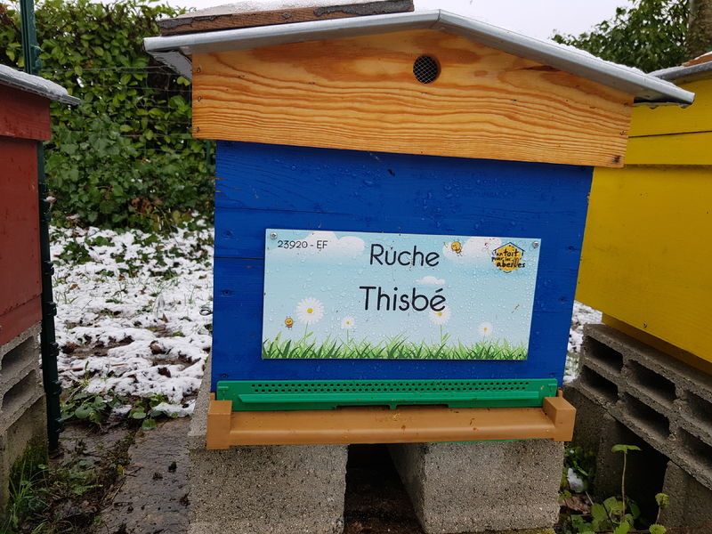 La ruche Thisbé