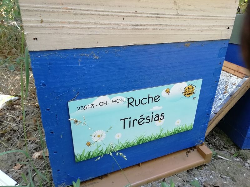 La ruche