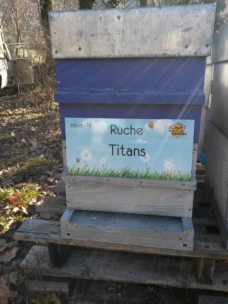 La ruche Titans