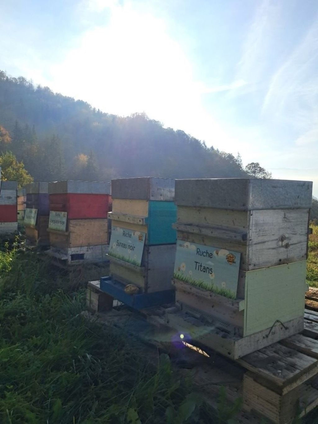 La ruche Titans