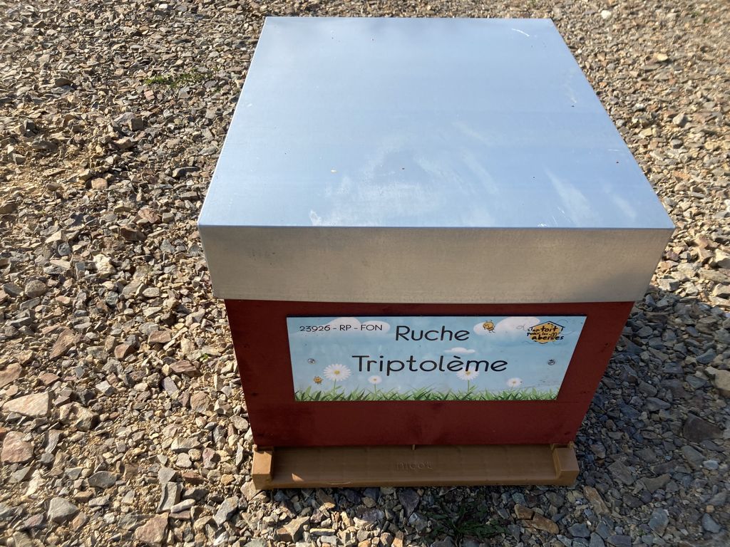 La ruche Triptolème