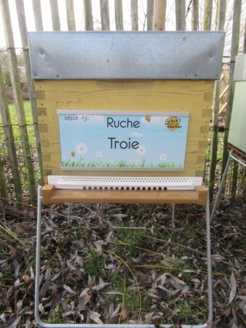 La ruche Troie