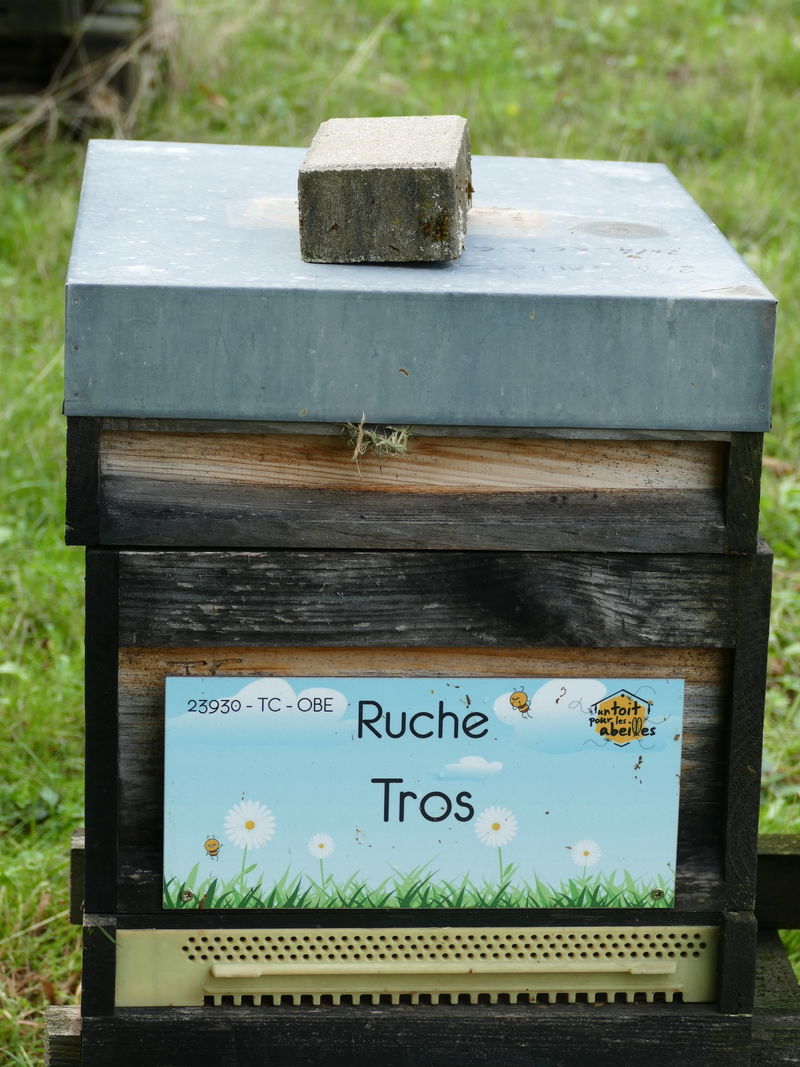 La ruche Tros