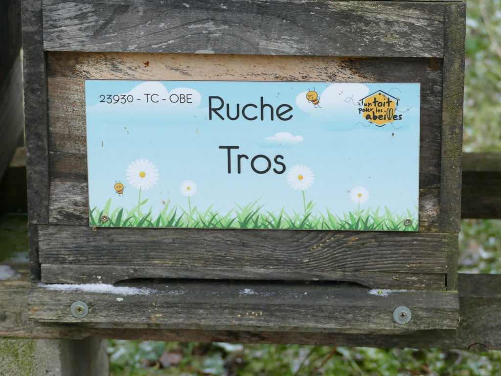 La ruche Tros