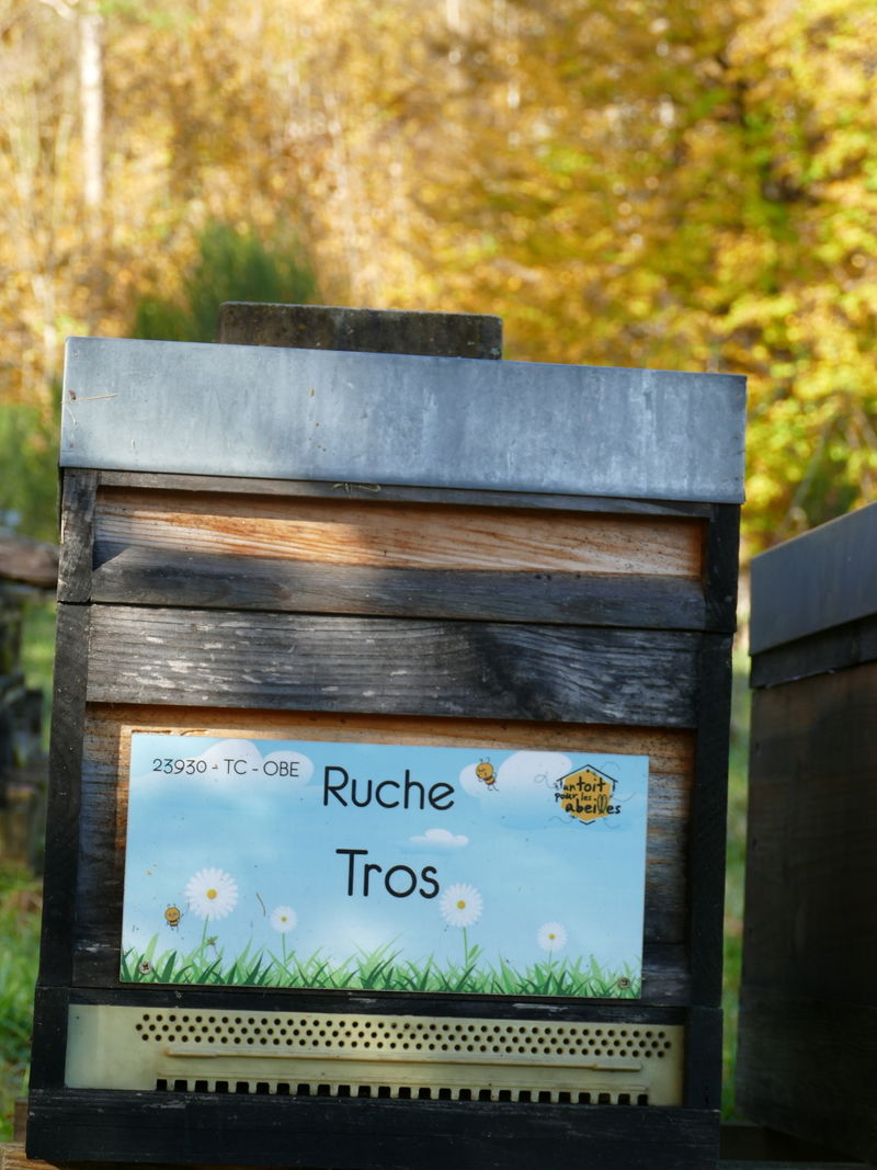 La ruche Tros