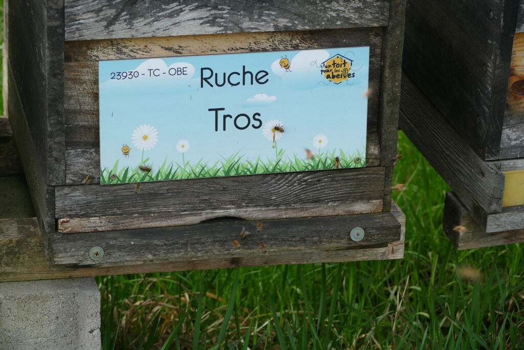 La ruche Tros