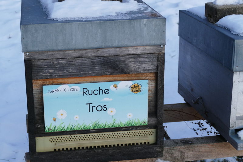 La ruche Tros