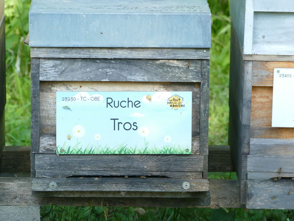 La ruche Tros