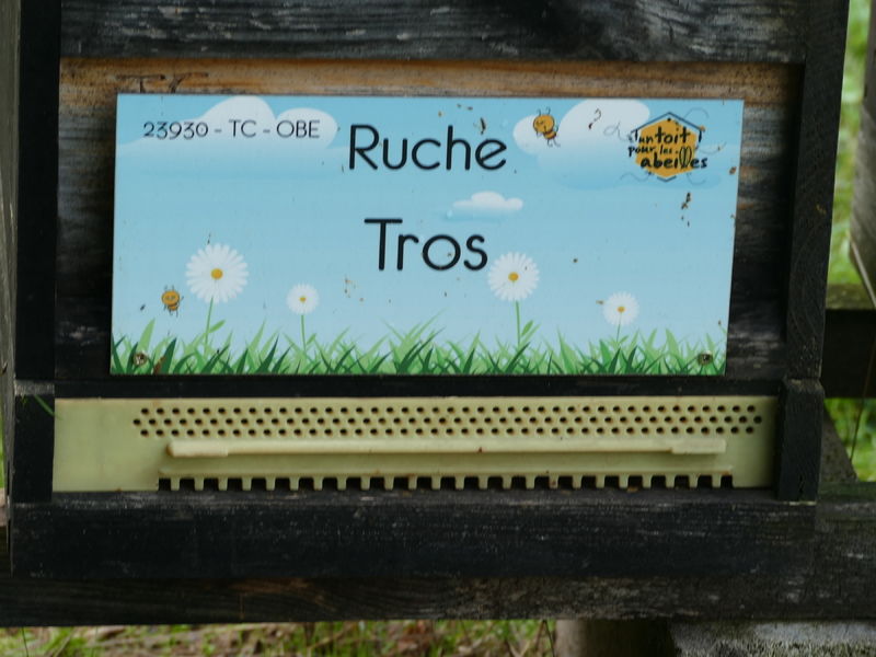 La ruche Tros
