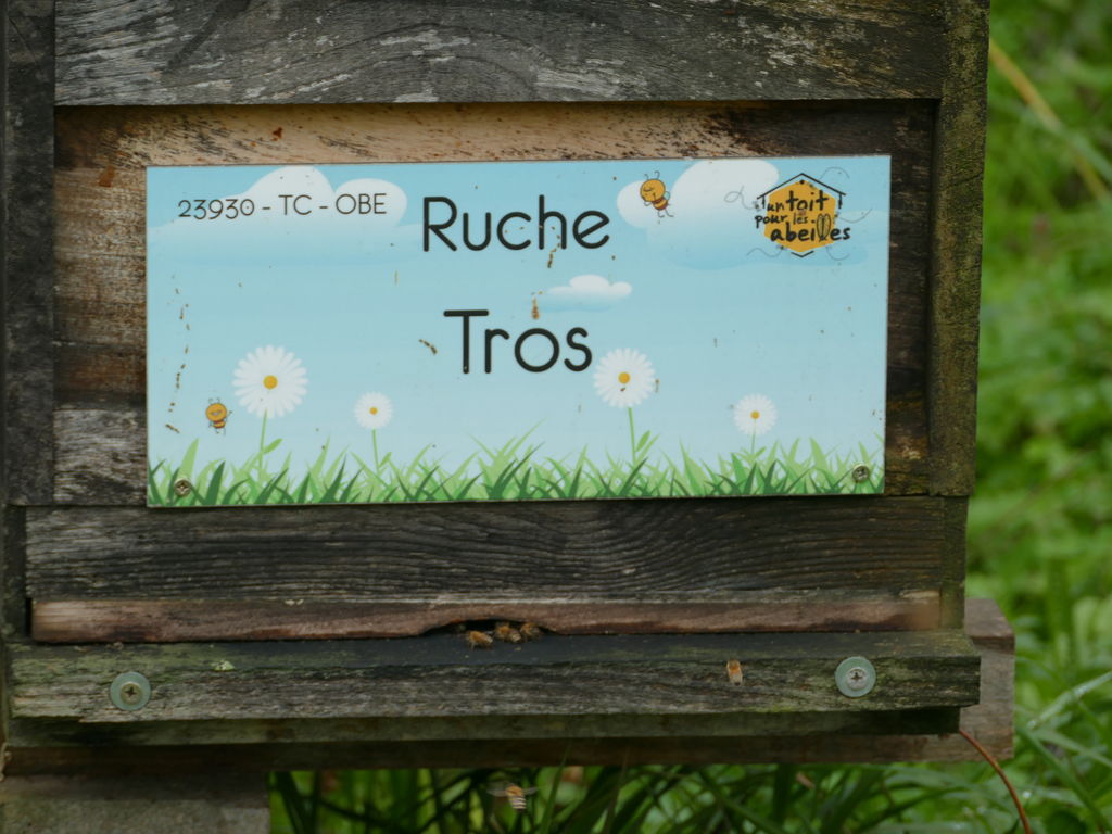 La ruche Tros
