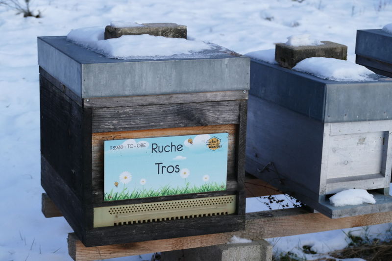 La ruche Tros