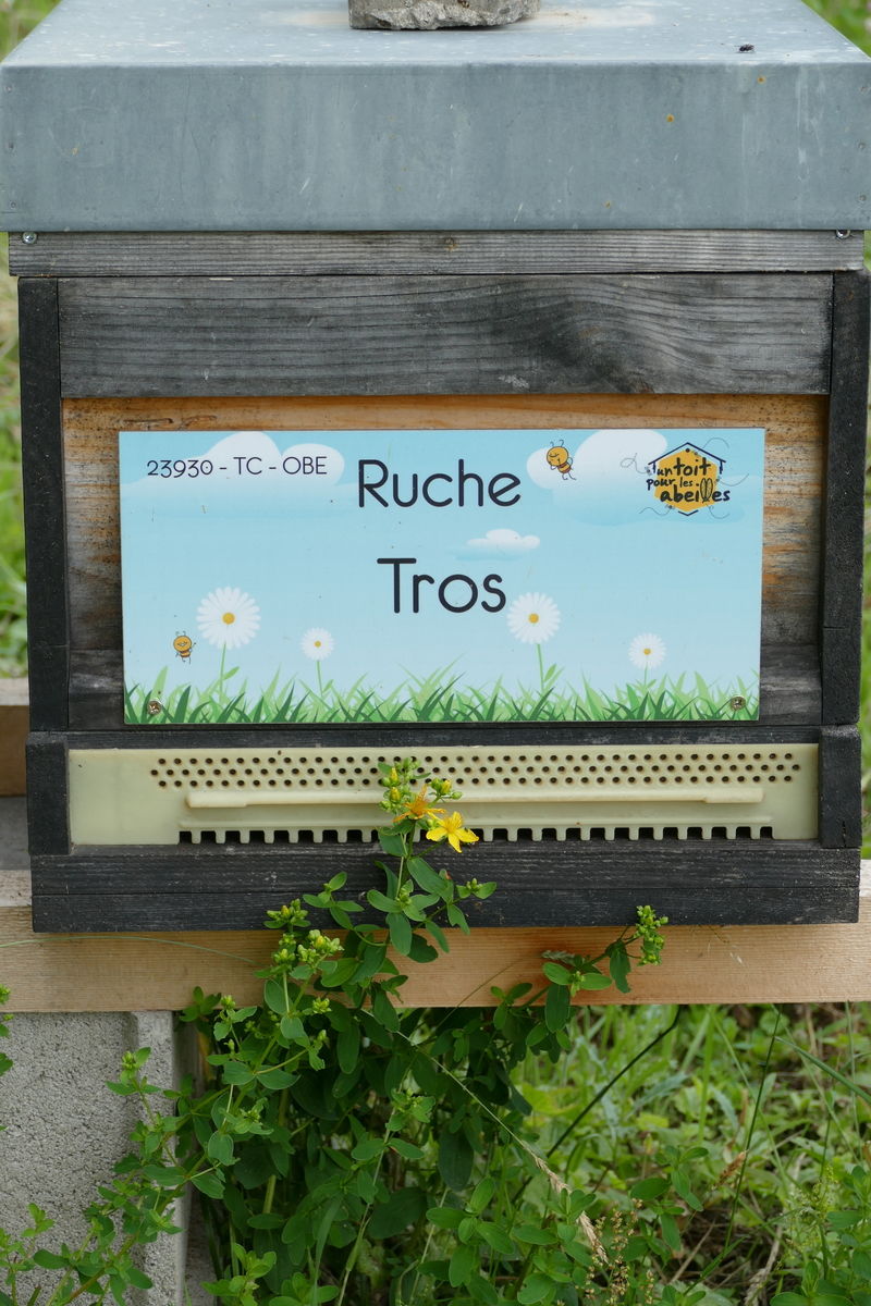 La ruche Tros