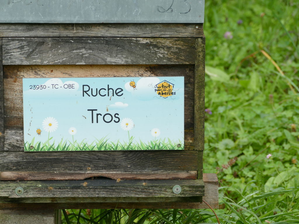La ruche Tros