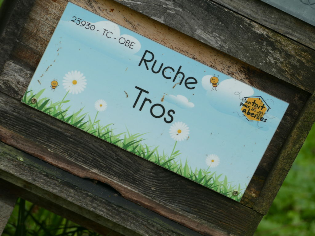 La ruche Tros