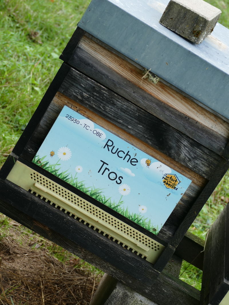 La ruche Tros