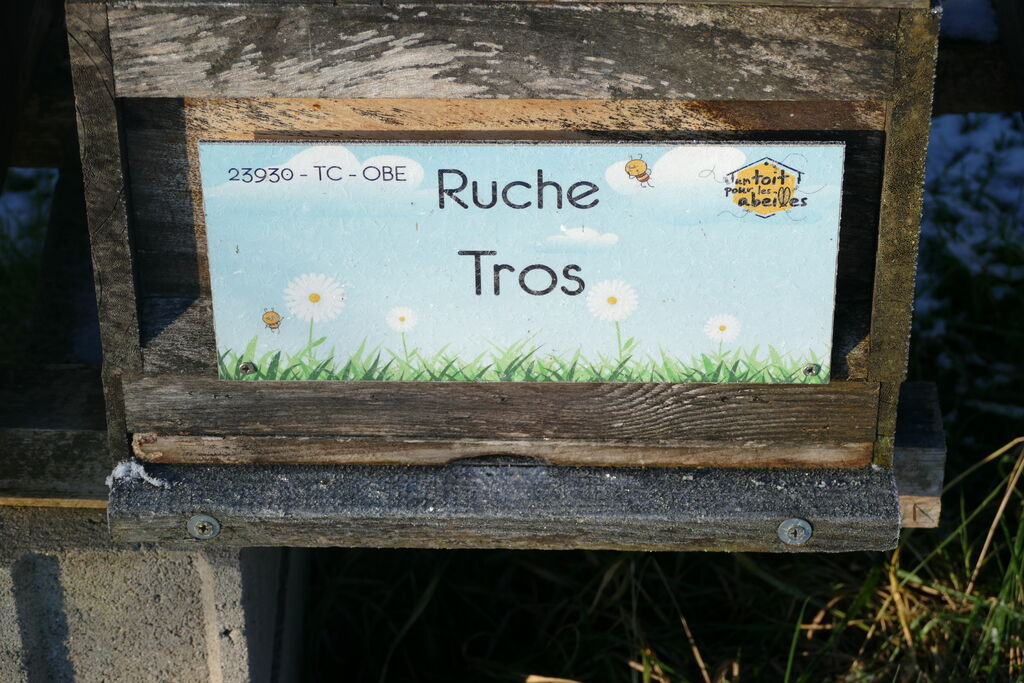 La ruche Tros