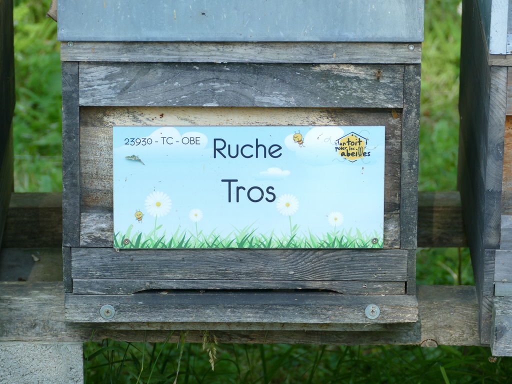 La ruche Tros