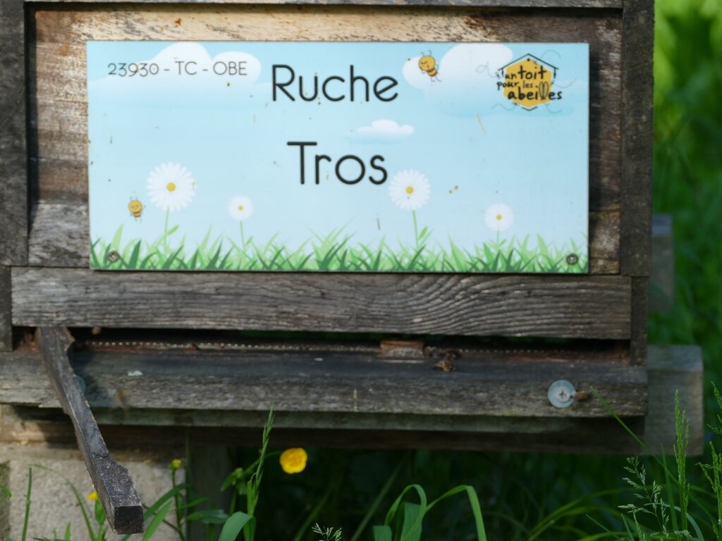 La ruche Tros
