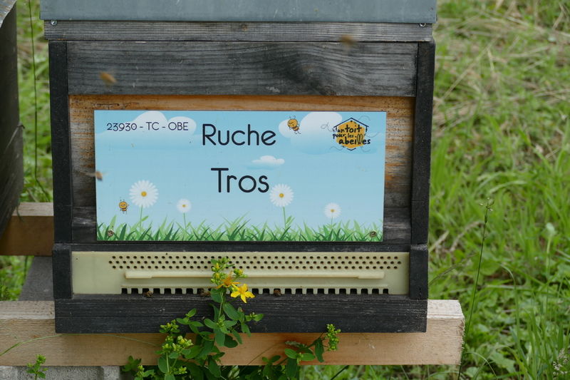 La ruche Tros