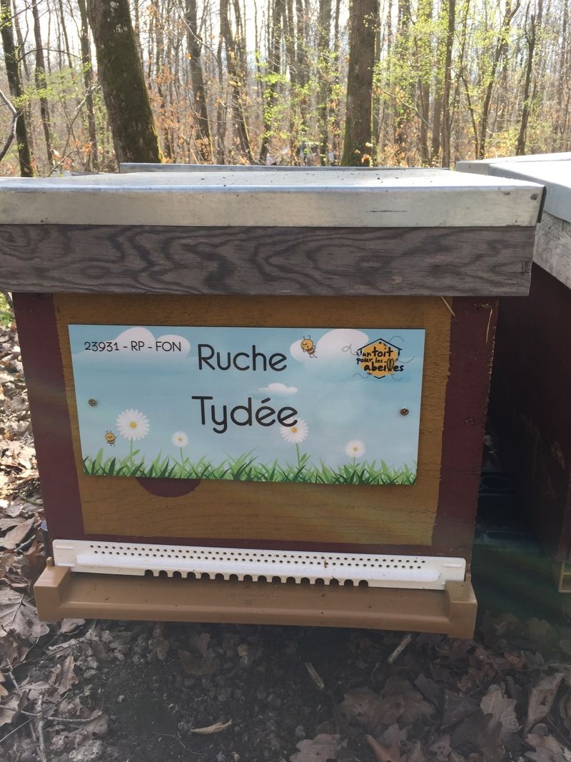 La ruche