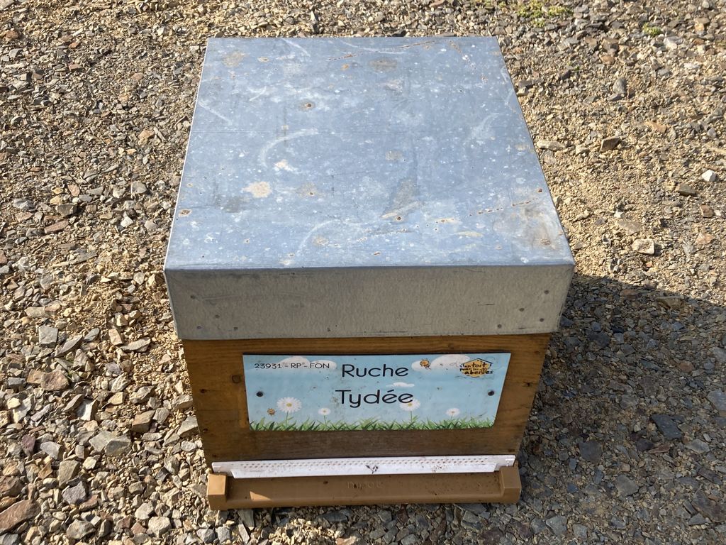 La ruche Tydée