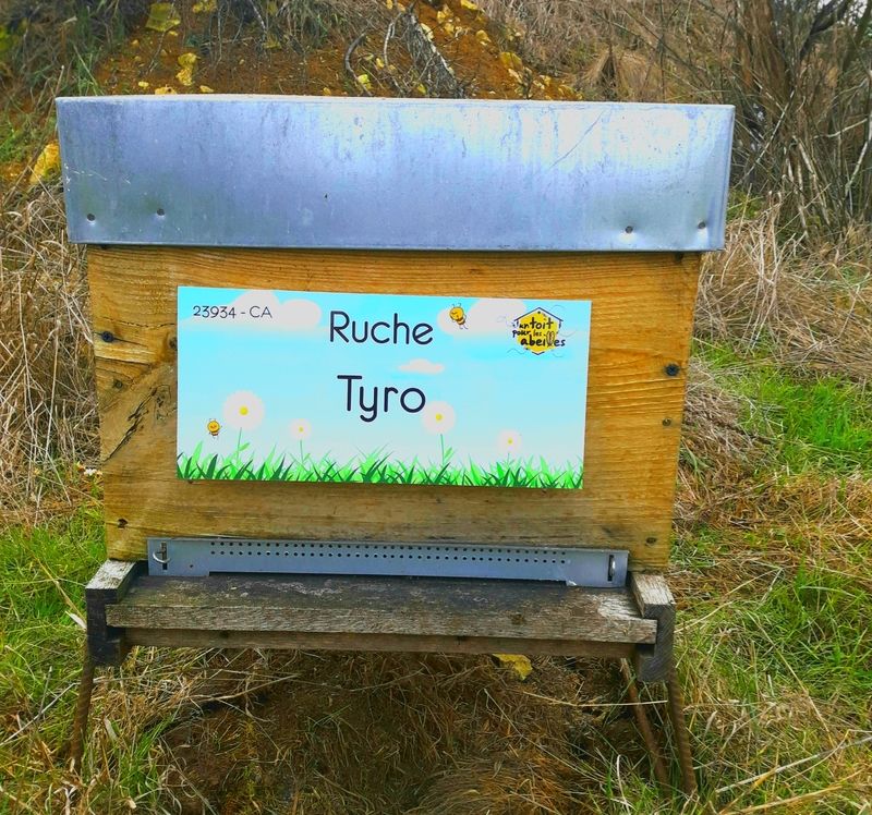 La ruche