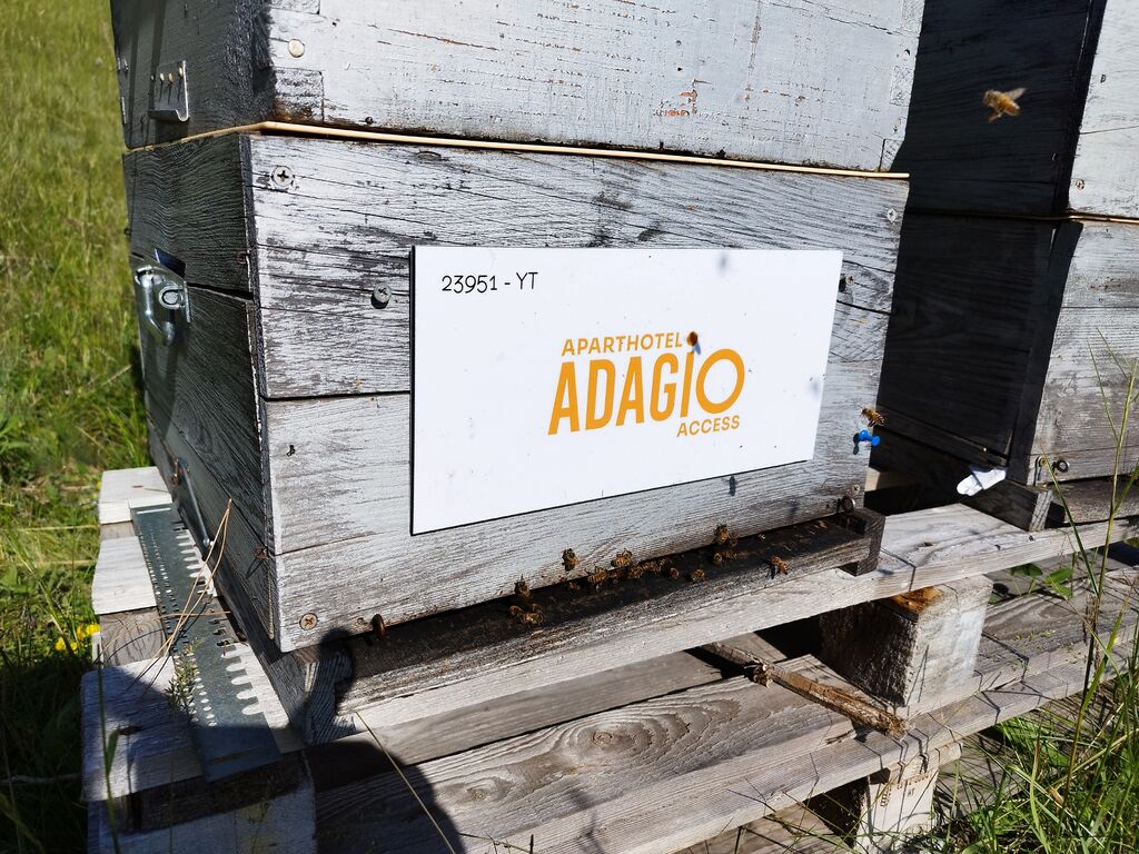 La ruche Adagio Access Nice Magnan