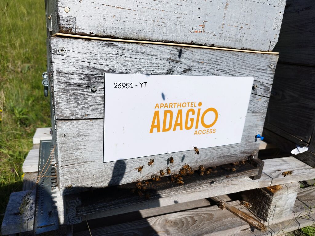 La ruche Adagio Access Nice Magnan