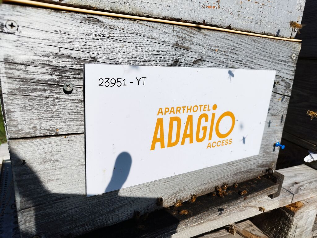 La ruche Adagio Access Nice Magnan