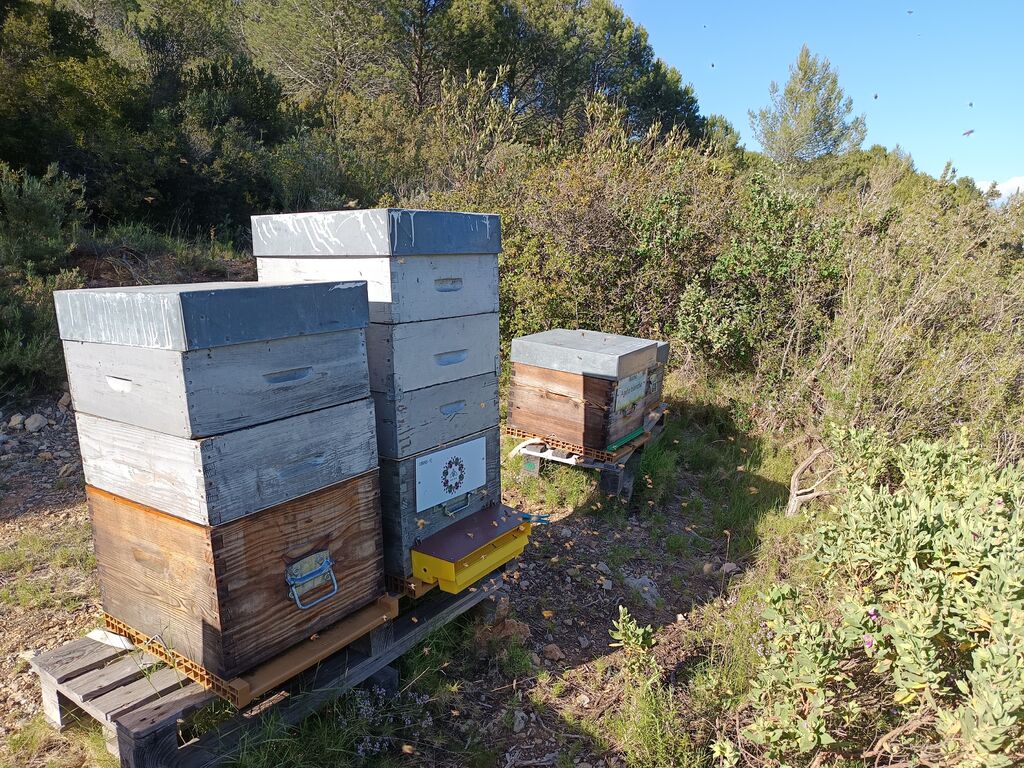 La ruche Bee zen