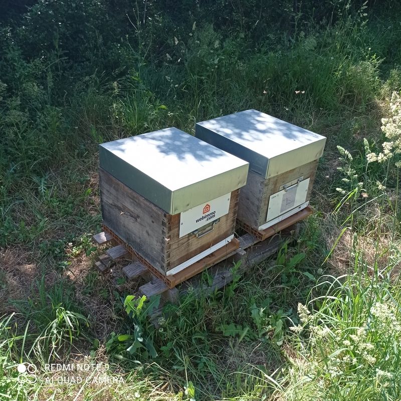 La ruche 123webimmo.com Velaux-Pays Salonais