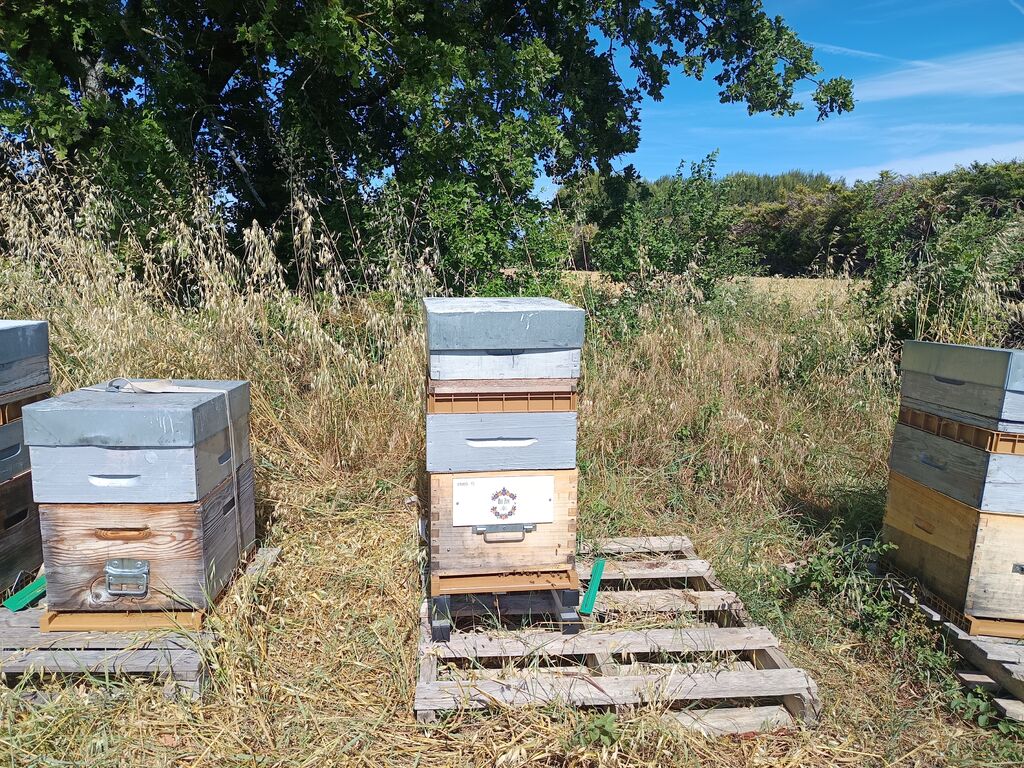 La ruche Bee zen