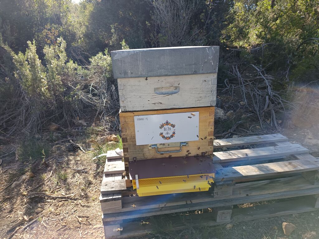 La ruche Bee zen