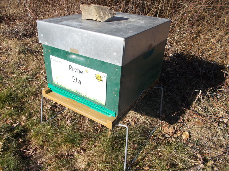 La ruche Eta