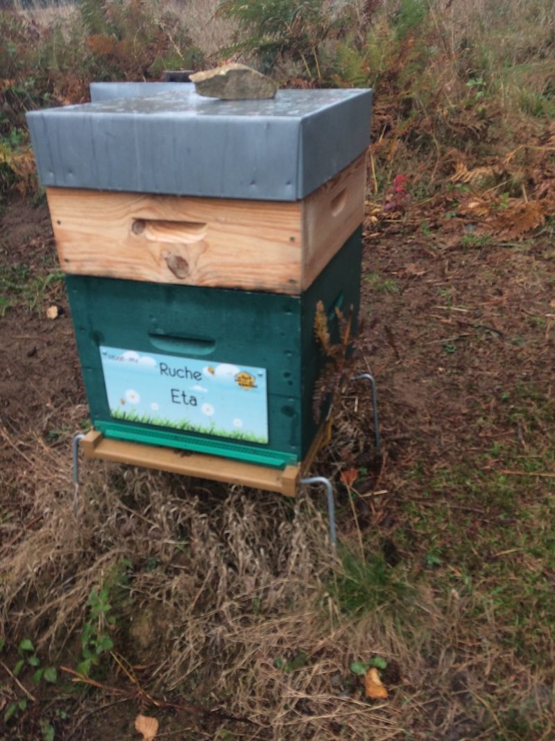 La ruche Eta
