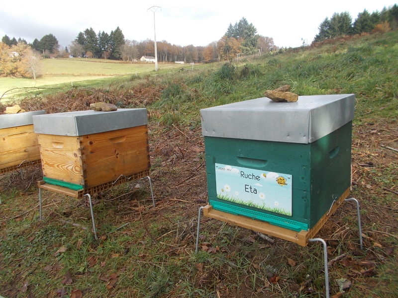 La ruche Eta