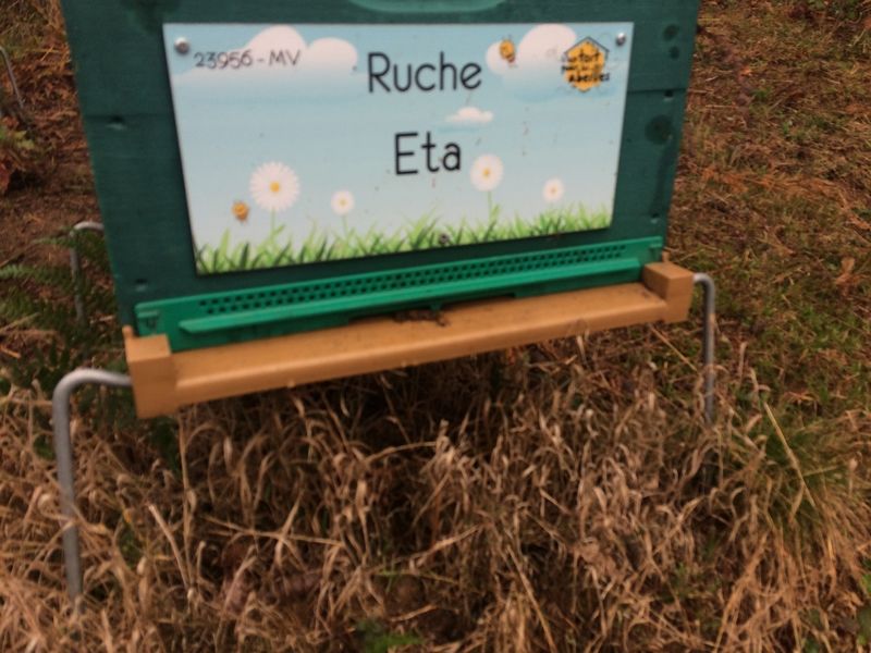 La ruche Eta