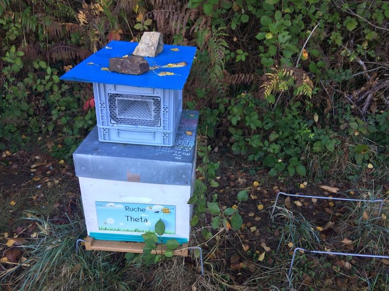 La ruche Theta