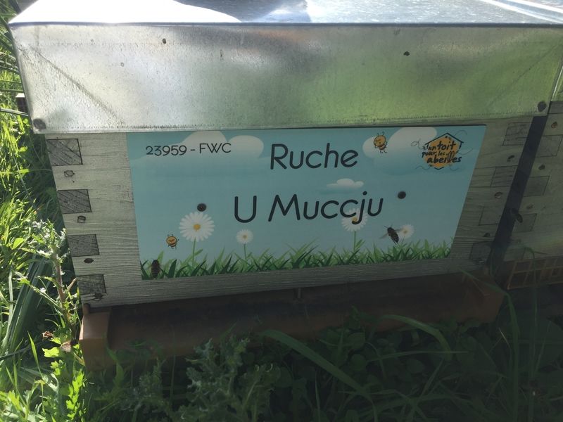La ruche