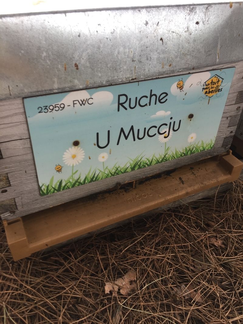 La ruche U Muccju