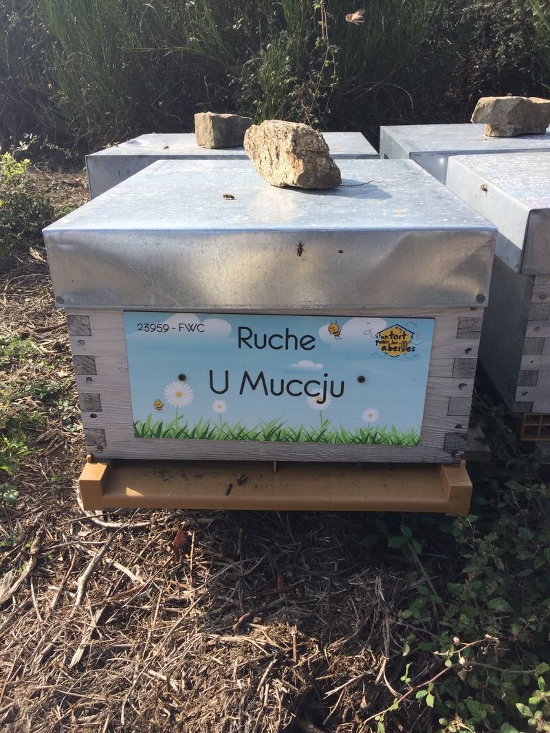 La ruche U Muccju