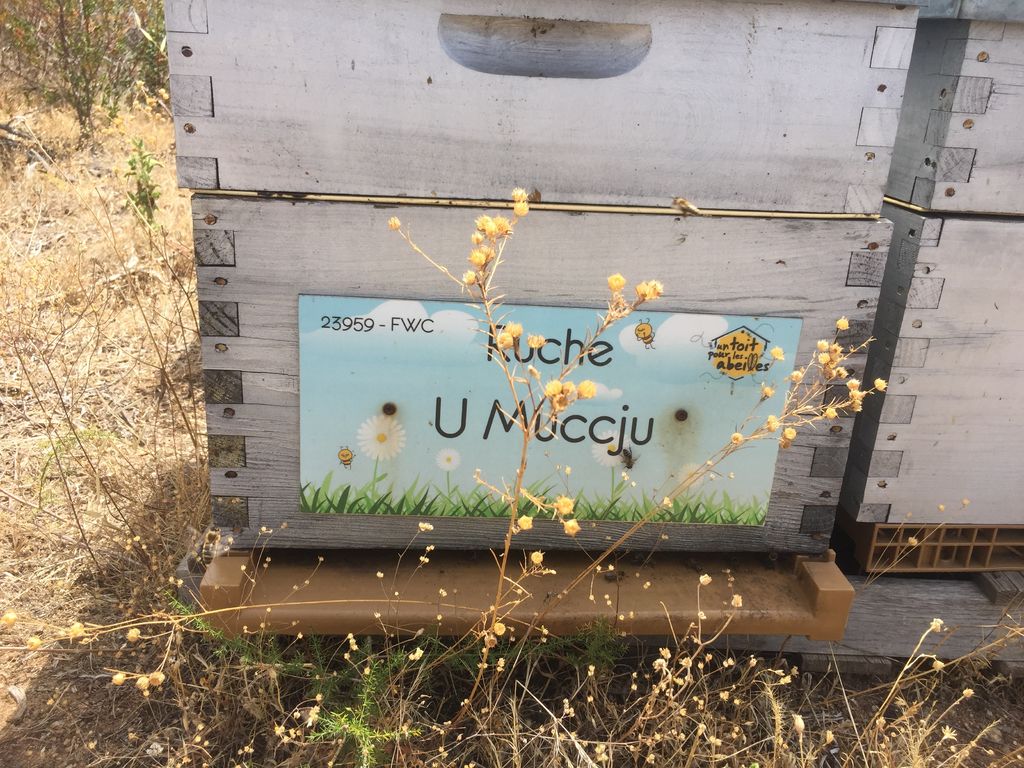 La ruche U Muccju