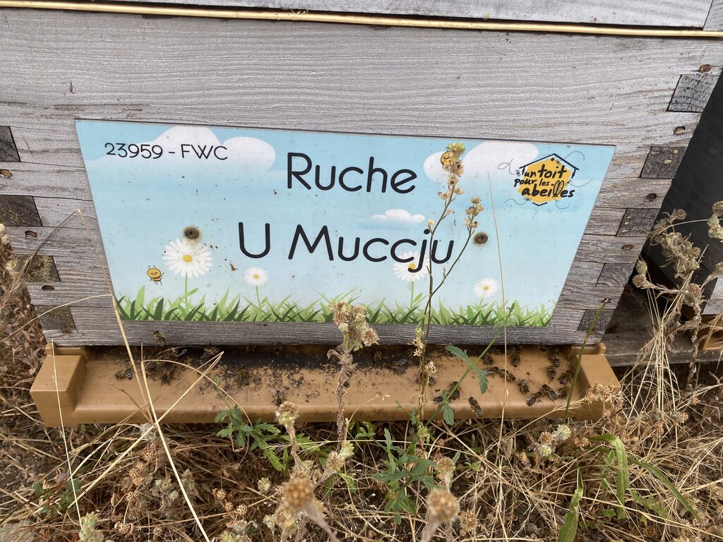La ruche U Muccju