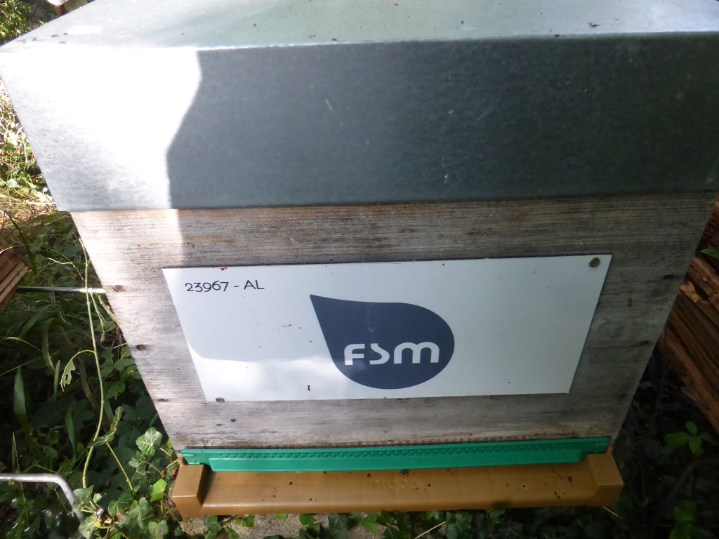 La ruche FSM