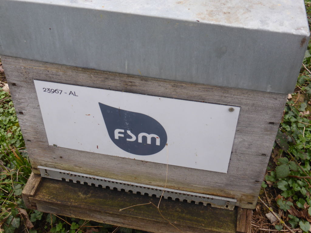 La ruche FSM