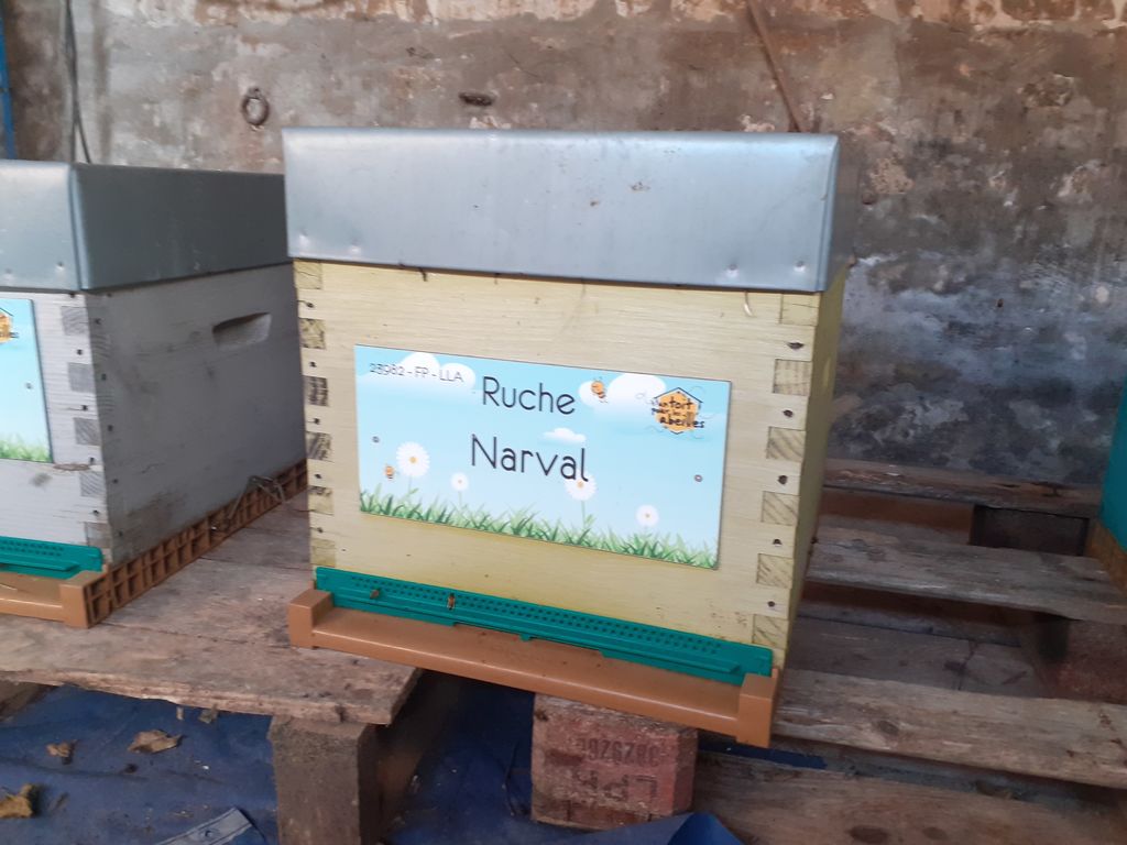 La ruche Narval