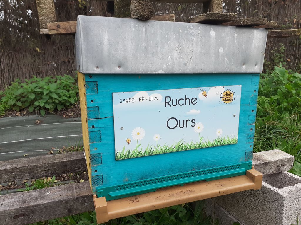 La ruche Ours