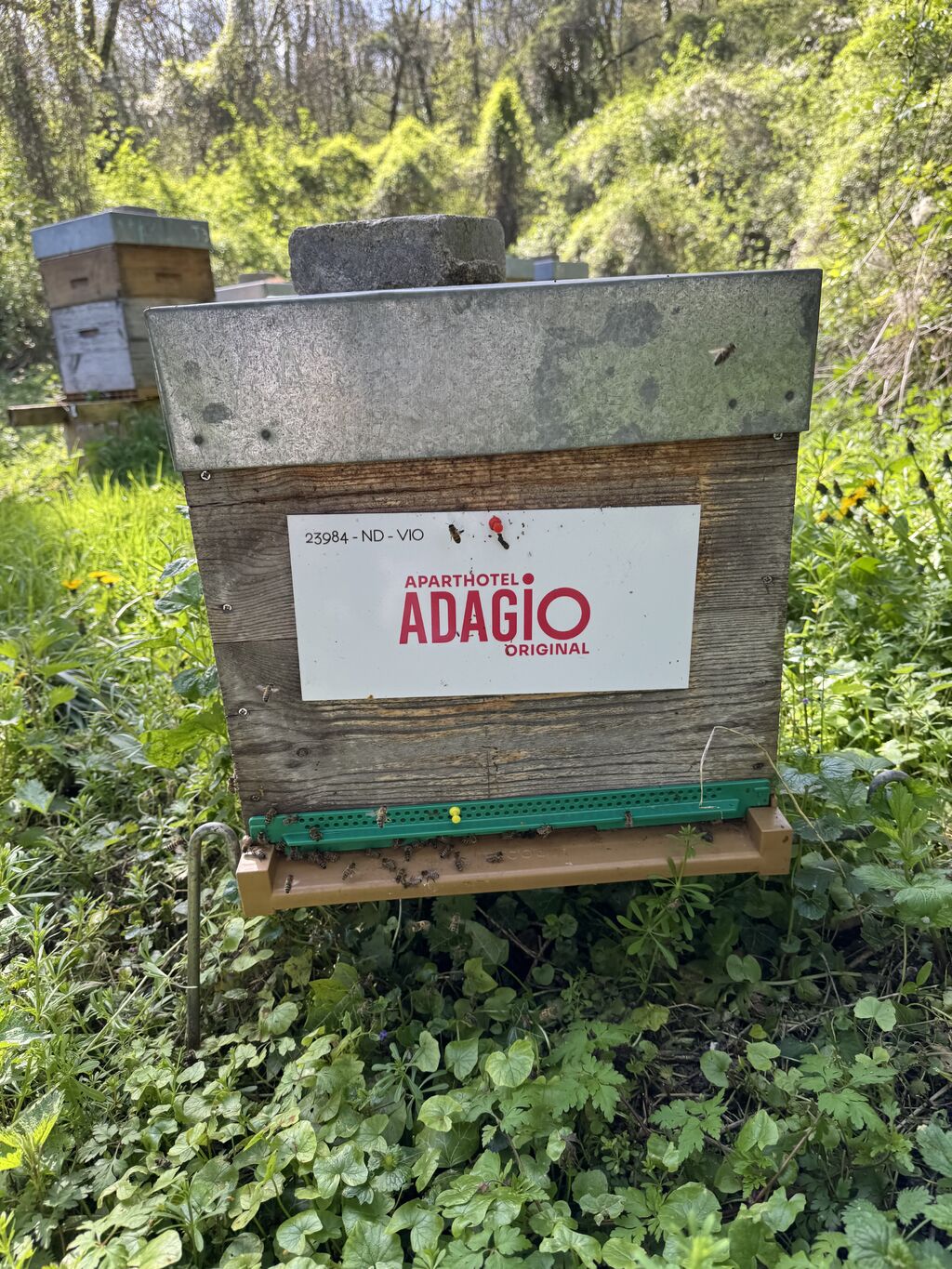 La ruche Aparthotel adagio paris boulogne