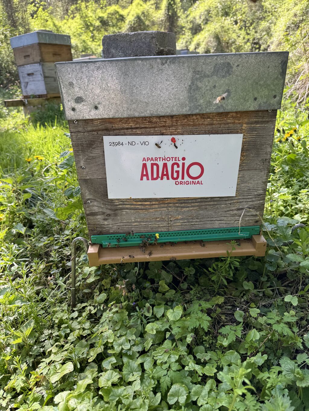 La ruche Aparthotel adagio paris boulogne